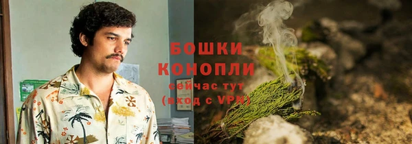 шишки Армянск