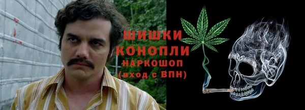 ПСИЛОЦИБИНОВЫЕ ГРИБЫ Аркадак