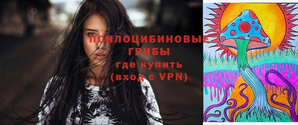 шишки Армянск