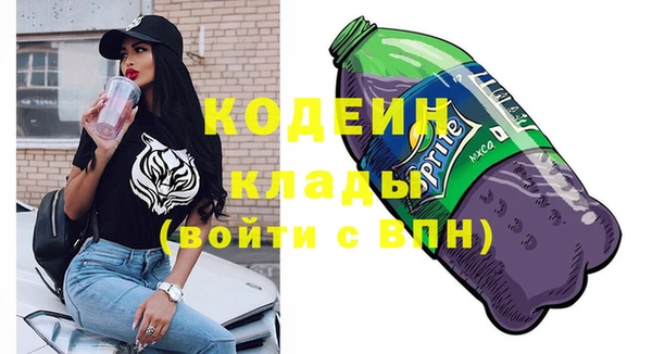 шишки Армянск