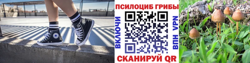 omg ССЫЛКА  Кемерово  Галлюциногенные грибы Magic Shrooms 