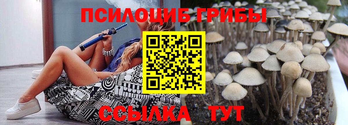 Псилоцибиновые грибы Magic Shrooms  Псилоцибиновые грибы Psilocybine cubensis  Кемерово  Вход с VPN 